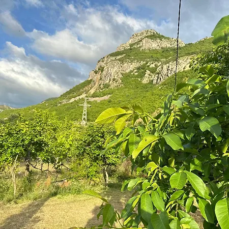 Alojamento de Turismo Selvagem Breeze Of The Drin *