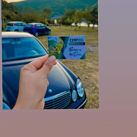 Breeze Of The Drin Deja's Ford