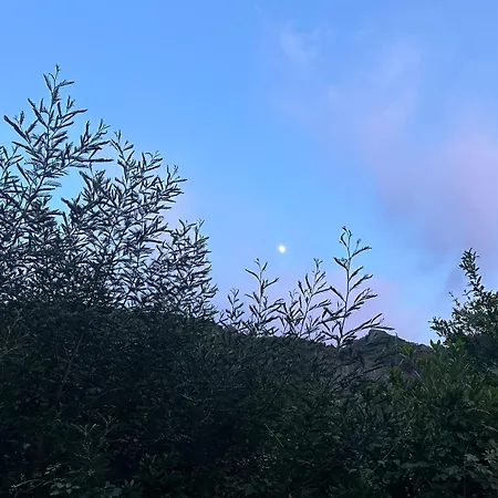 Breeze Of The Drin Deja's Ford