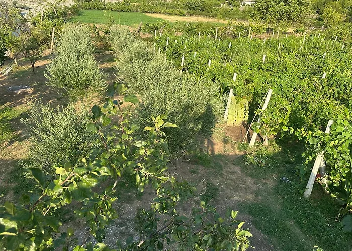 Guesthouse Breeze Of The Drin